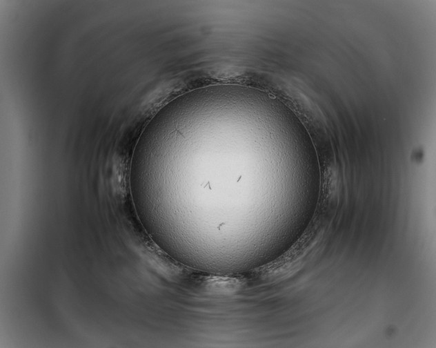 X0000100340234200806121158