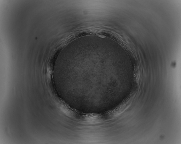 X0000100340235200806121158