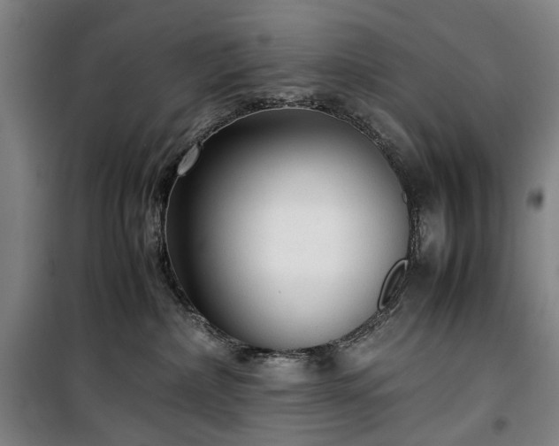 X0000100340236200806121158