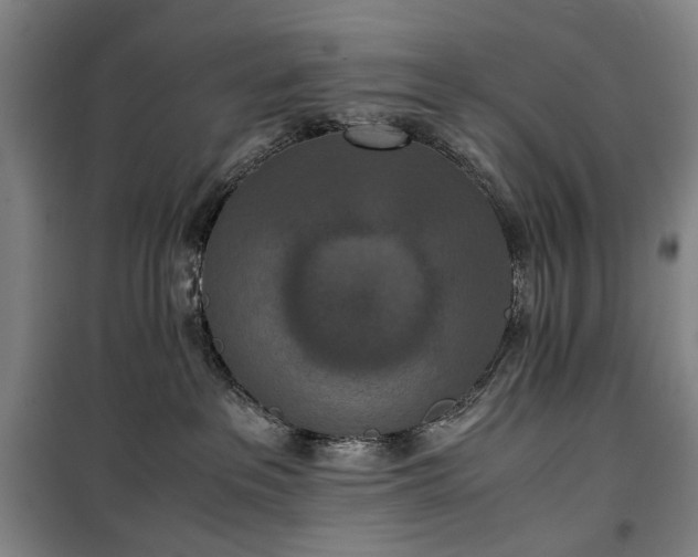 X0000100340237200806121158