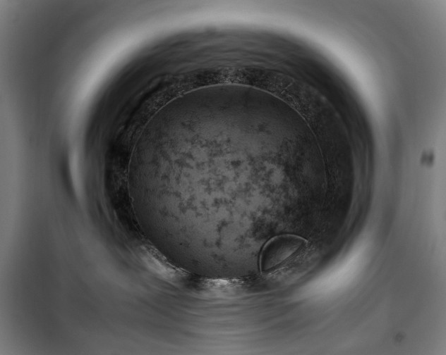 X0000100340239200806121158