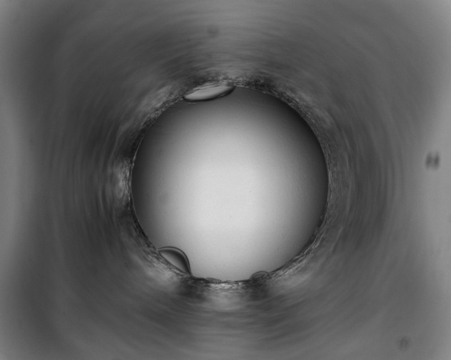 X0000100340240200806121158