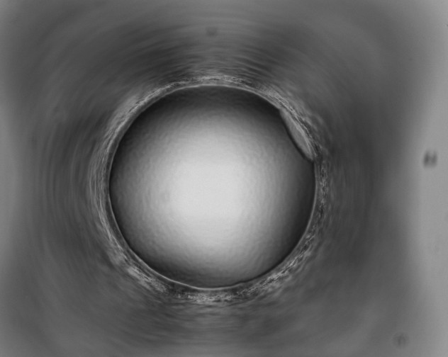 X0000100340241200806121157