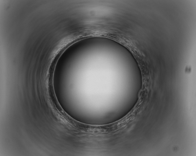 X0000100340242200806121157