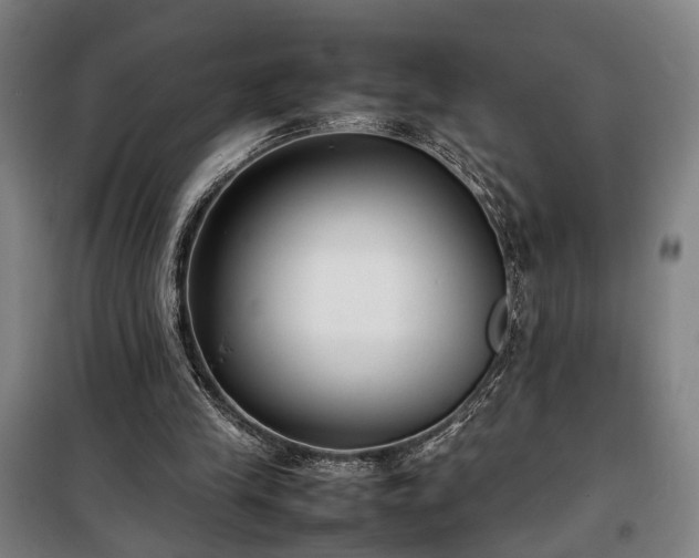 X0000100340245200806121157