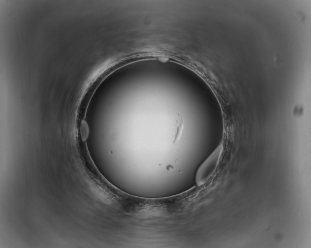 X0000100340248200806121157