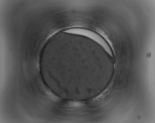 X0000100340249200806121157