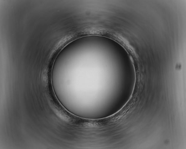 X0000100340250200806121157