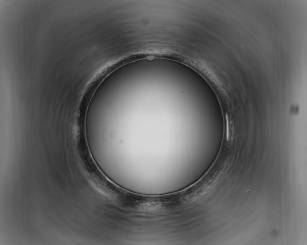 X0000100340252200806121157