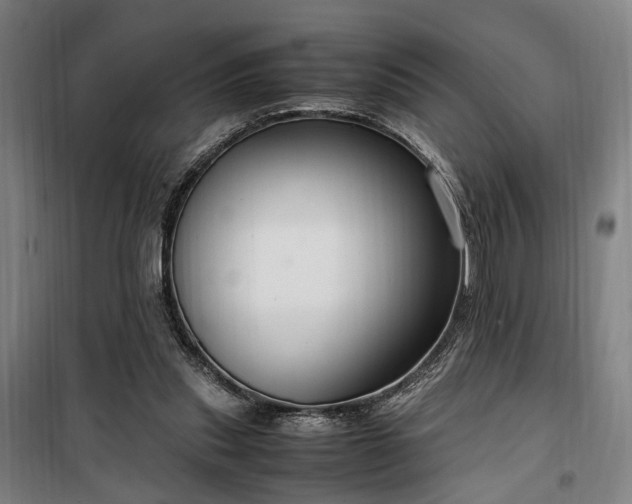 X0000100340253200806121157