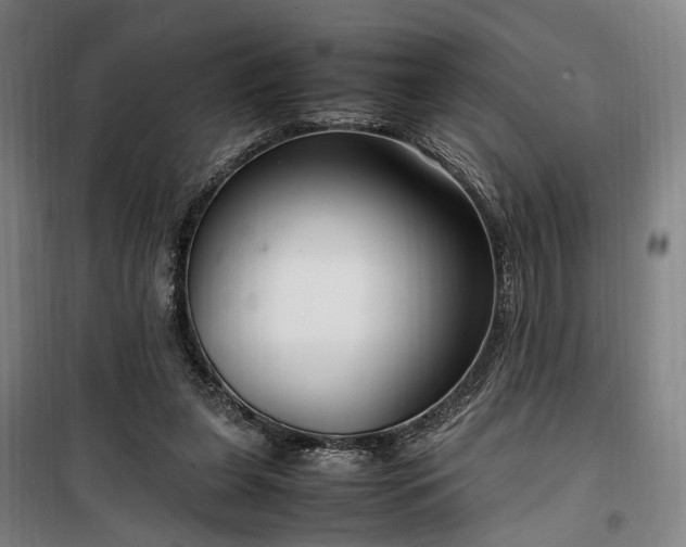 X0000100340255200806121157