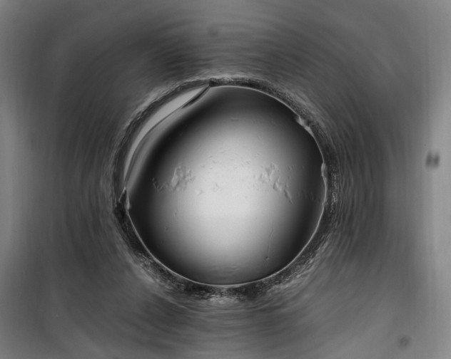 X0000100340256200806121157