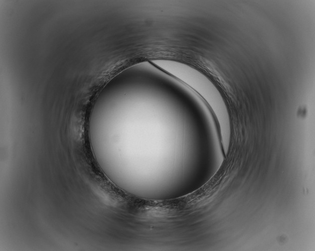 X0000100340259200806121157