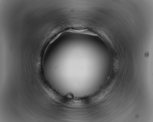 X0000100340260200806121157