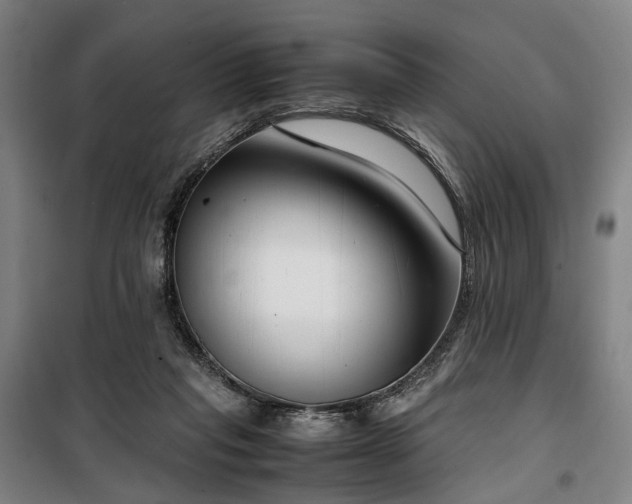 X0000100340261200806121157