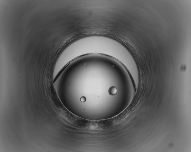 X0000100340264200806121158