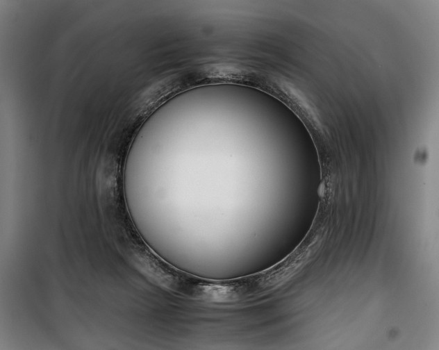 X0000100340265200806121158