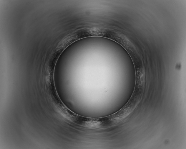 X0000100340266200806121158