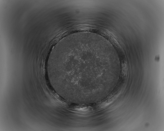 X0000100340267200806121158