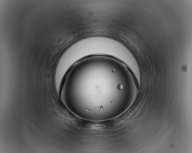 X0000100340268200806121158