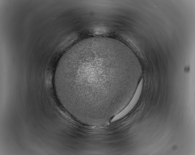 X0000100340269200806121158