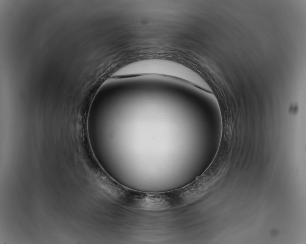 X0000100340270200806121158