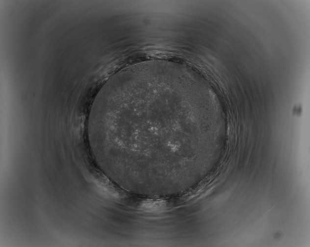 X0000100340271200806121158