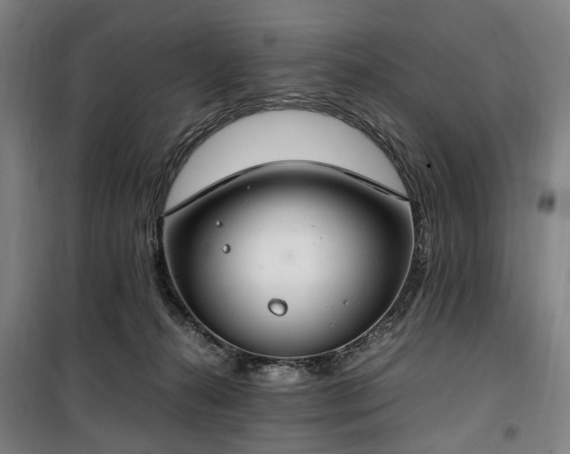 X0000100340272200806121158