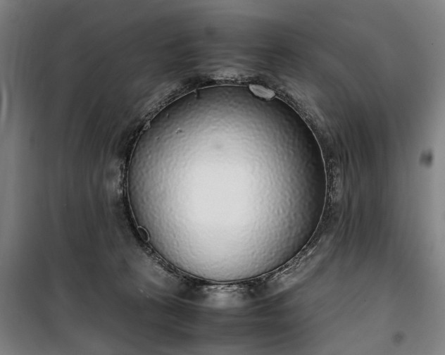 X0000100340273200806121158