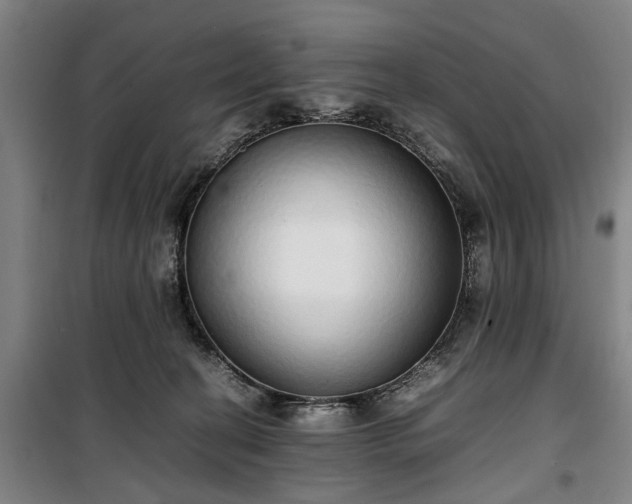 X0000100340274200806121158