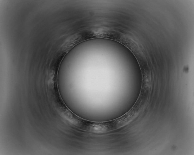 X0000100340275200806121158