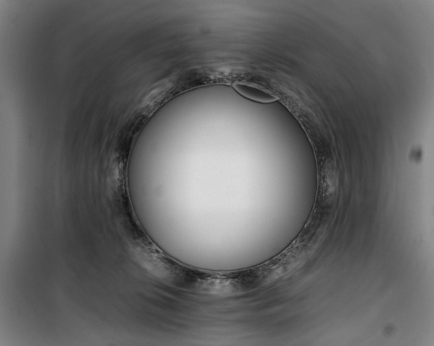 X0000100340276200806121158