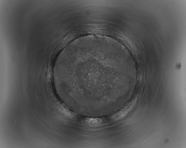 X0000100340277200806121158