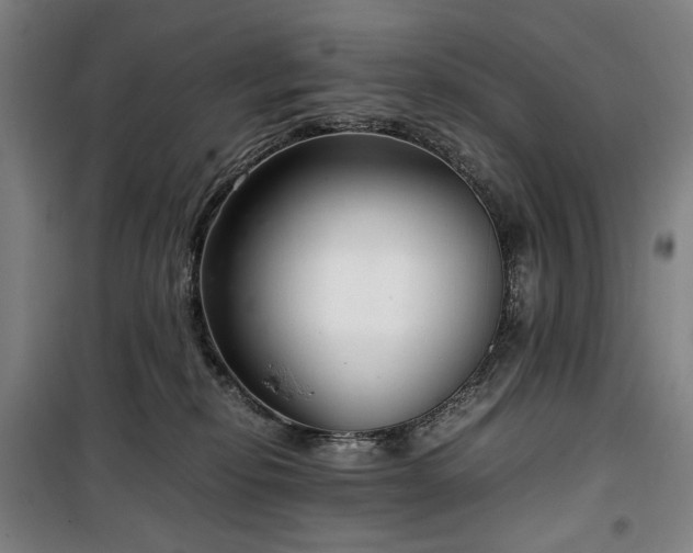 X0000100340278200806121158