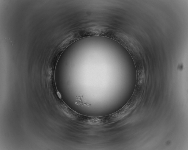 X0000100340279200806121158