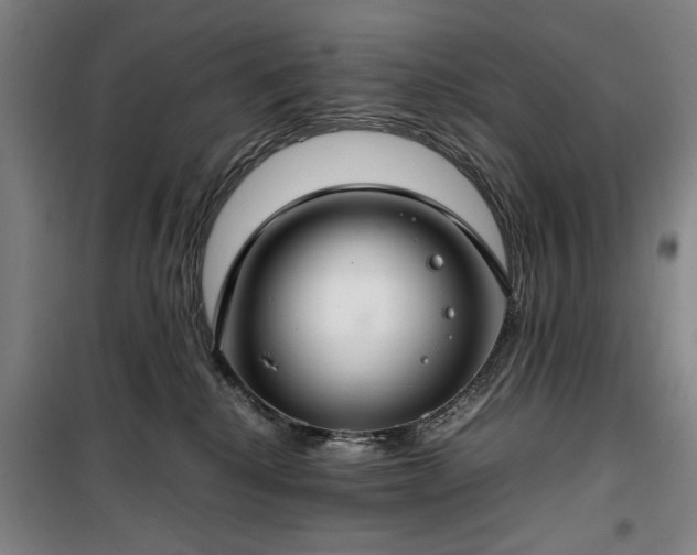 X0000100340280200806121158