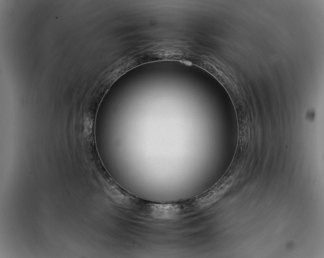 X0000100340281200806121158