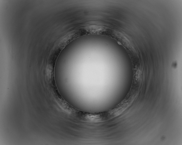 X0000100340283200806121158