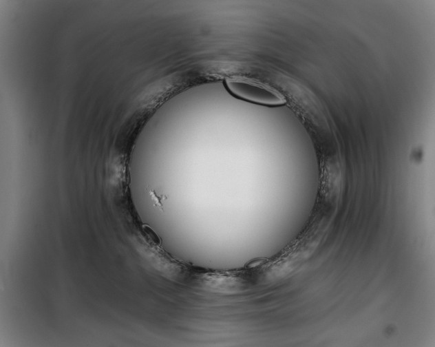 X0000100340284200806121158