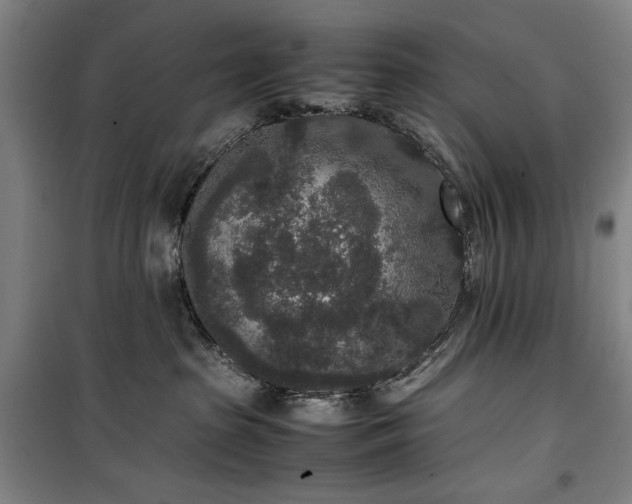 X0000100340285200806121158