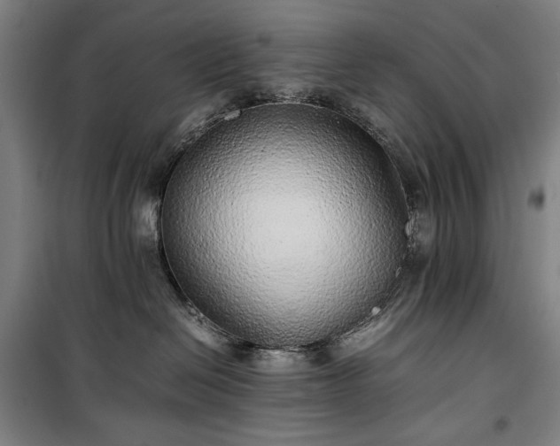 X0000100340286200806121158