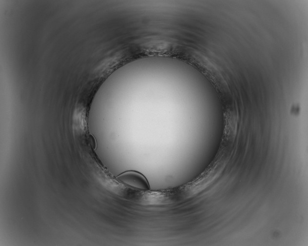 X0000100340287200806121158