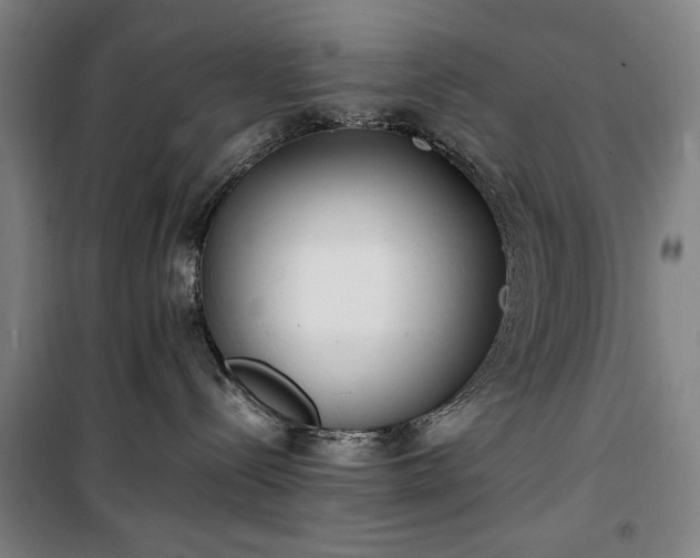 X0000100340288200806121158