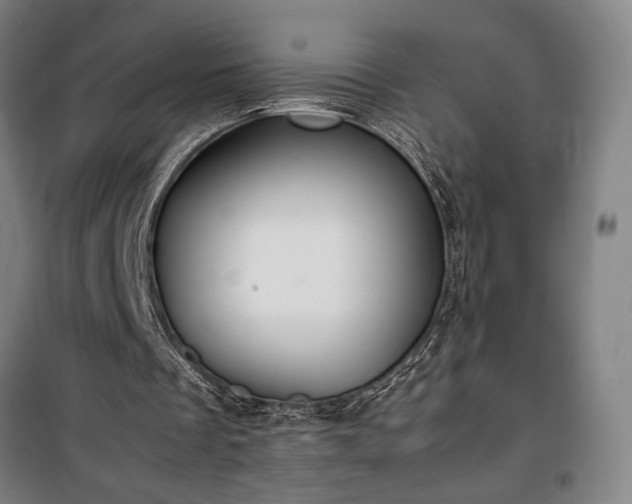 X0000100340289200806121157