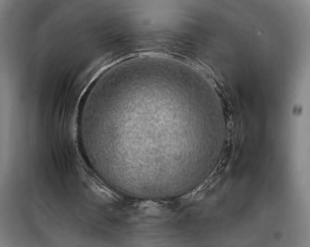 X0000100340290200806121157