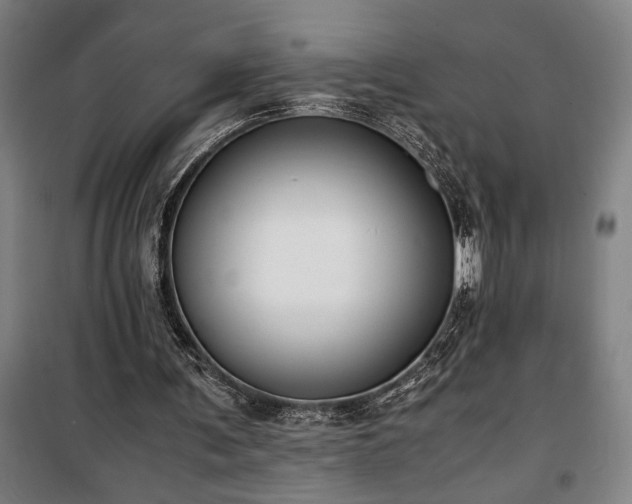 X0000100340291200806121157