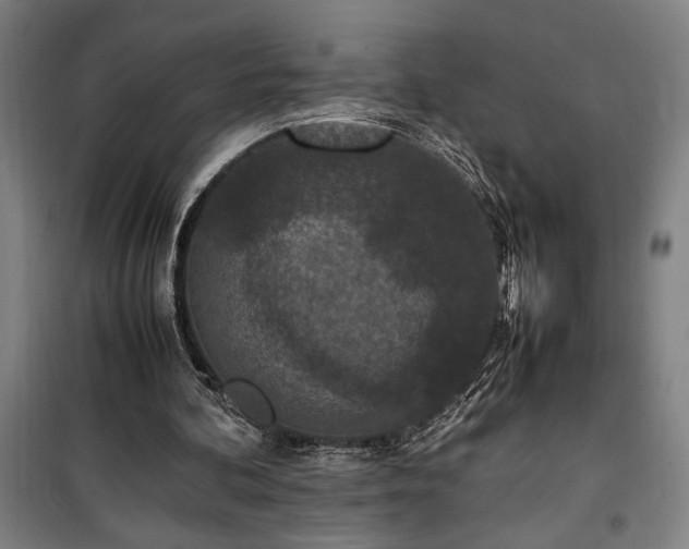 X0000100340292200806121157