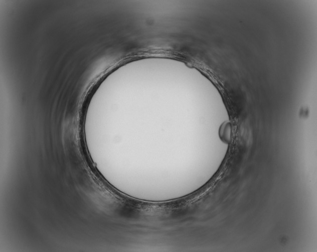 X0000100340293200806121157