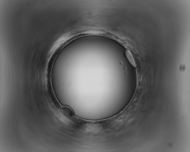 X0000100340296200806121157