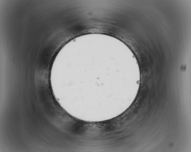 X0000100340297200806121157